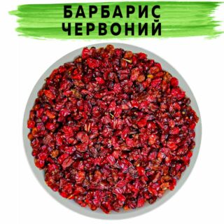 Барбарис червоний
