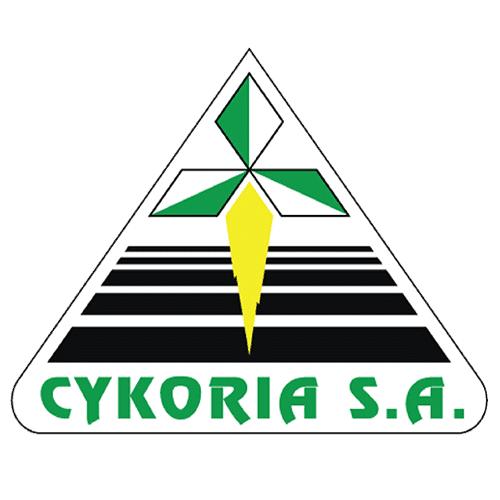 Cykoria