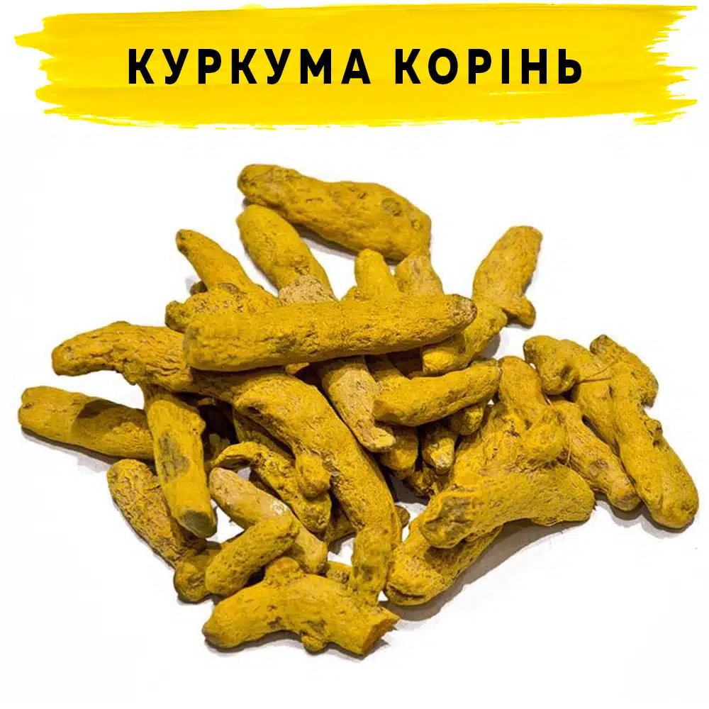 Куркума корінь