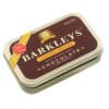 Мятные леденцы шоколад и корица Barkleys Chocolate Cinnamon 50г