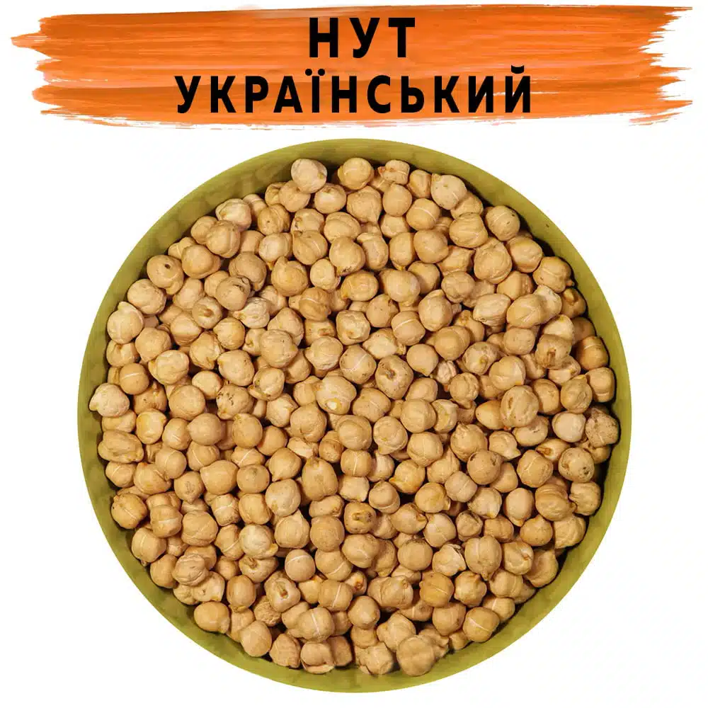Нут Украинский