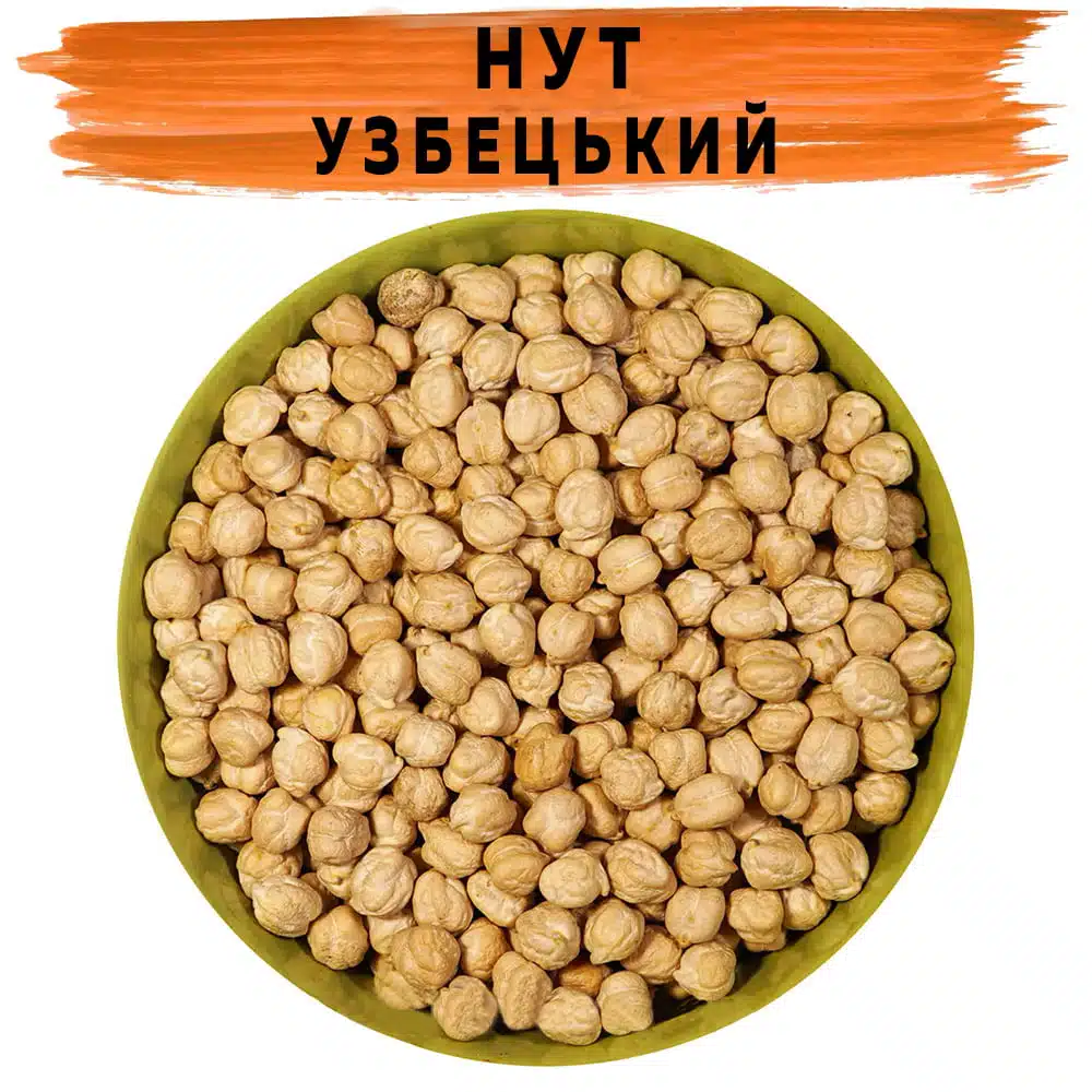 Нут Узбецький