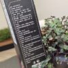 Китайський оздоровлюючий чай Тонгретанг – сила імунітету 20 пакетів по 5г - Зображення 5