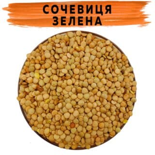 Чечевица зеленая