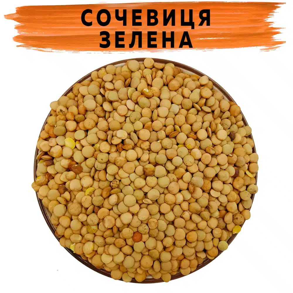 Сочевиця зелена
