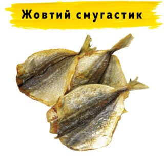 Жовтий смугастик сушений
