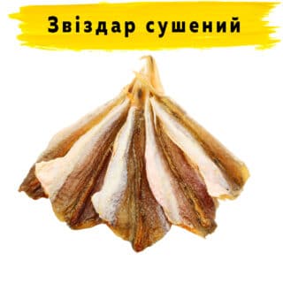 Звездочет сушеный